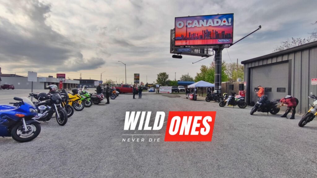 How Wild Ones Never Die Turned a Local Event Into a Marketing Machine